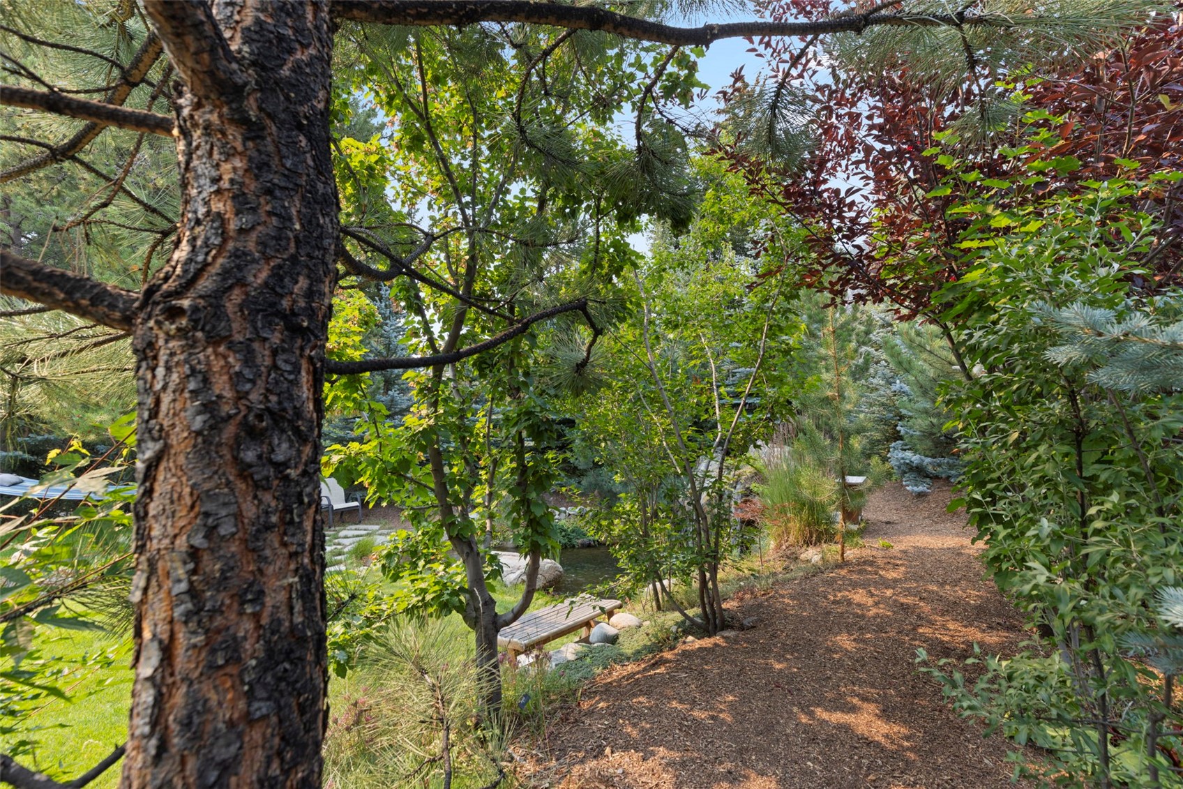 207 Emily Lane Property Photo 14