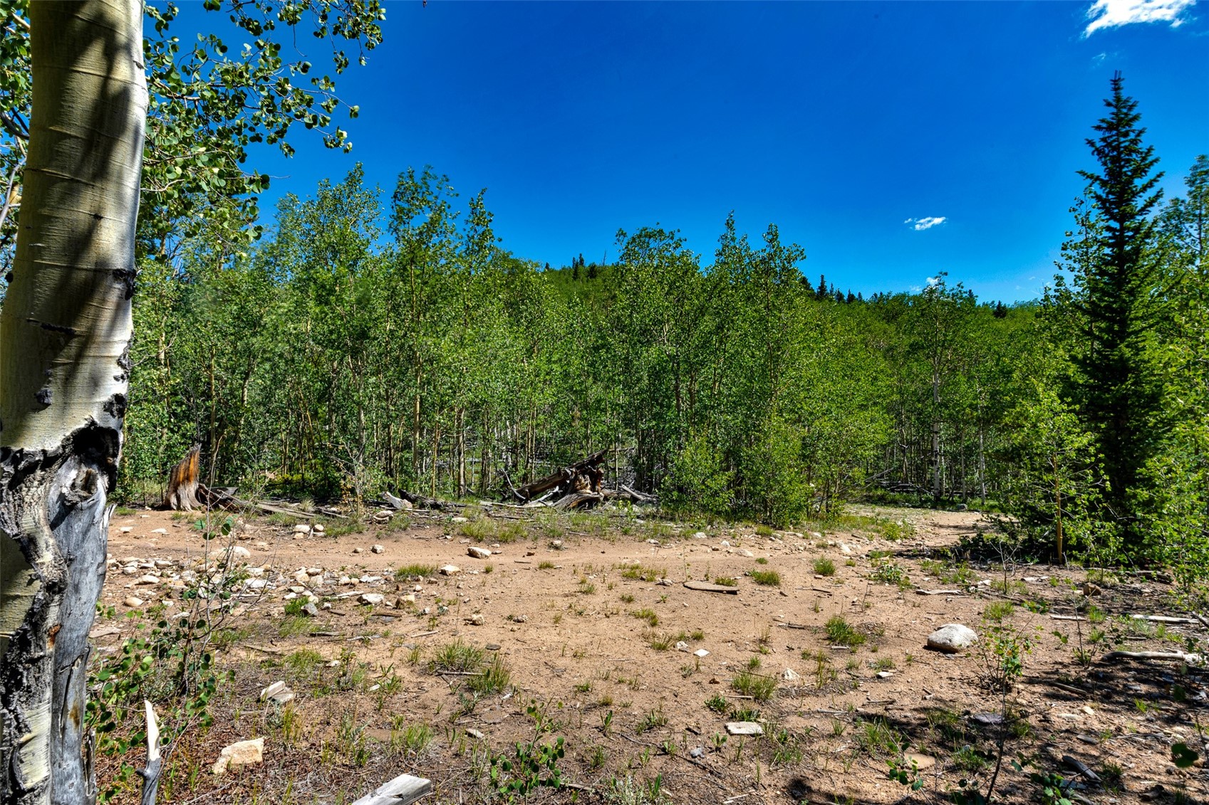497 Ten High Lane Property Photo 33