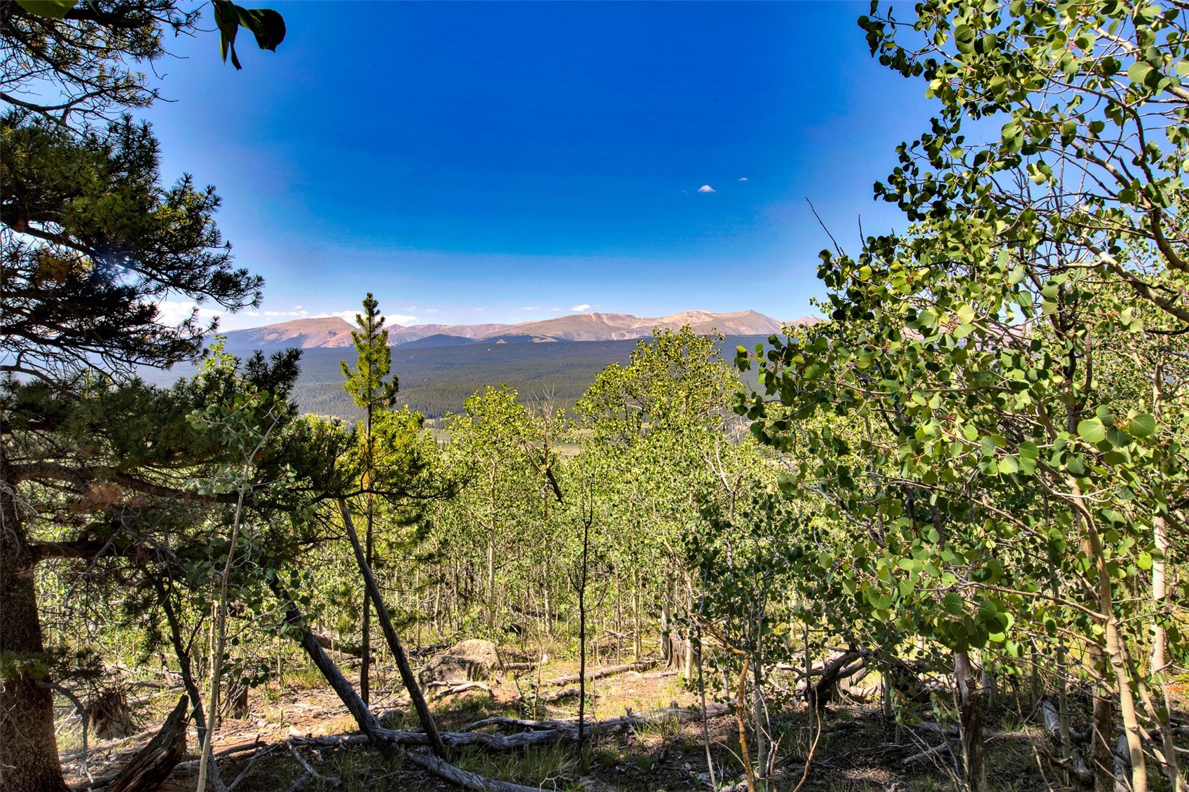 497 Ten High Lane Property Photo 40