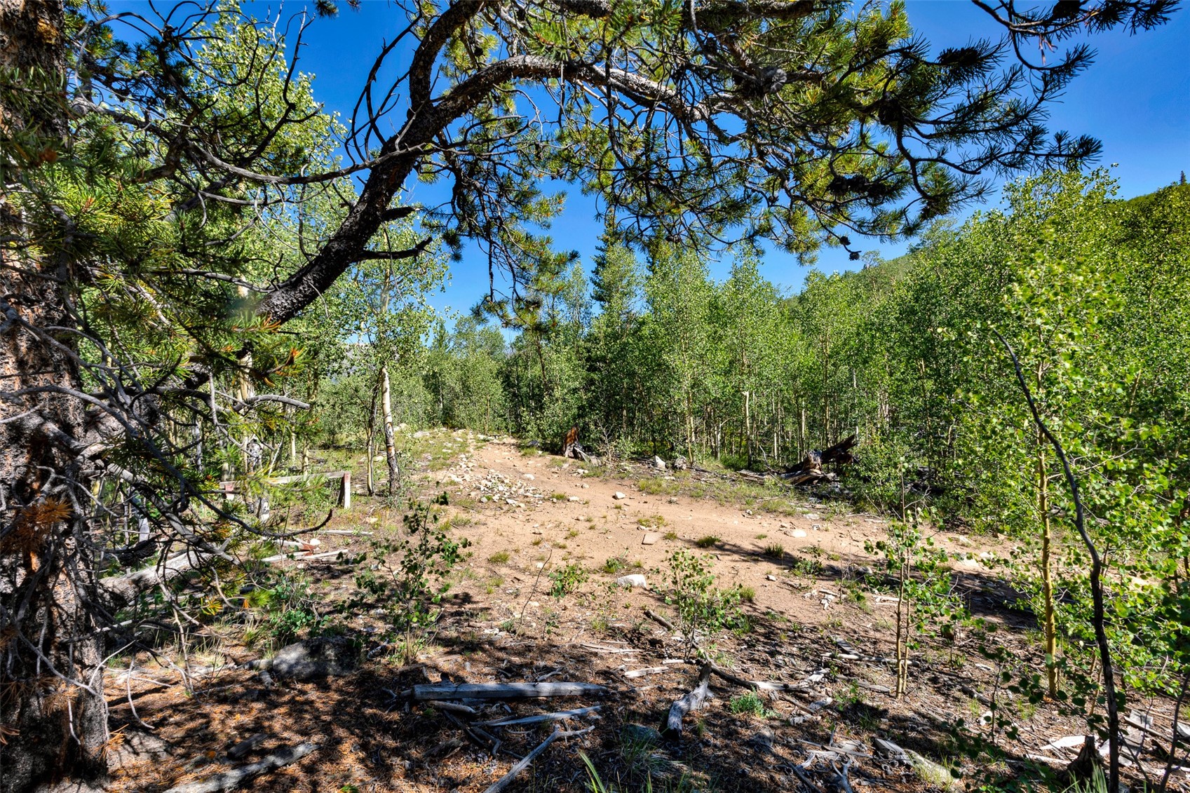 497 Ten High Lane Property Photo 47