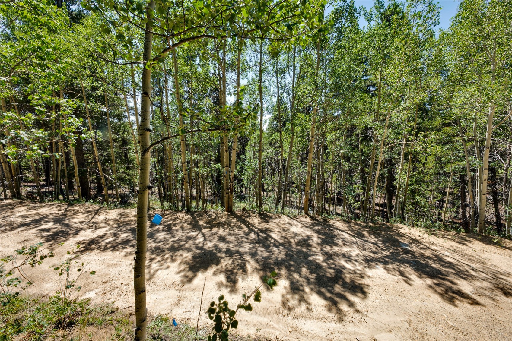 497 Ten High Lane Property Photo 49