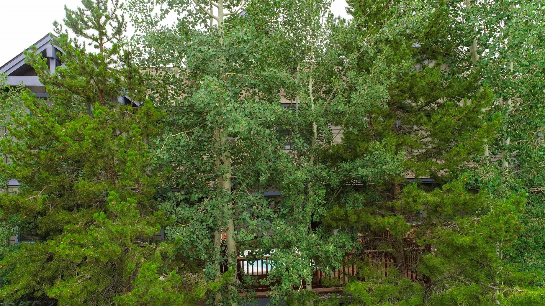70 Oak Lane 70 Property Photo 34