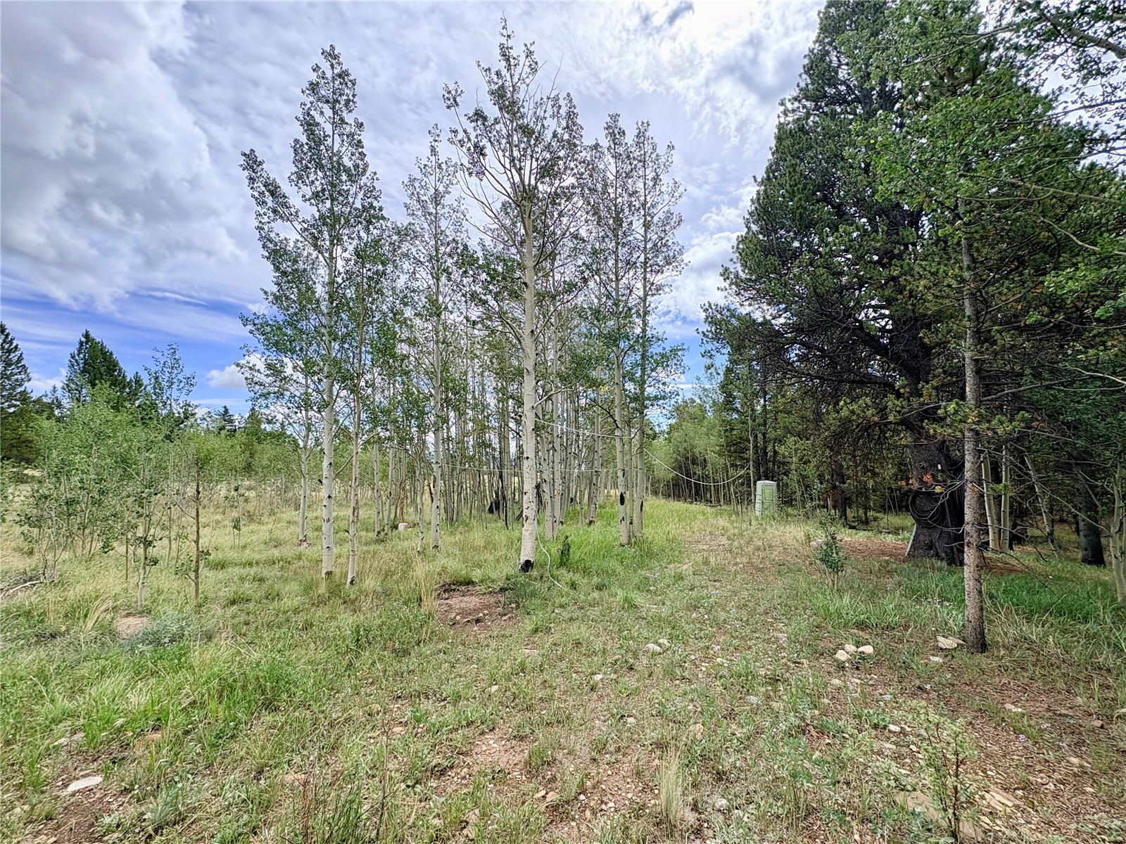 720 Bluestem Way Property Photo 12