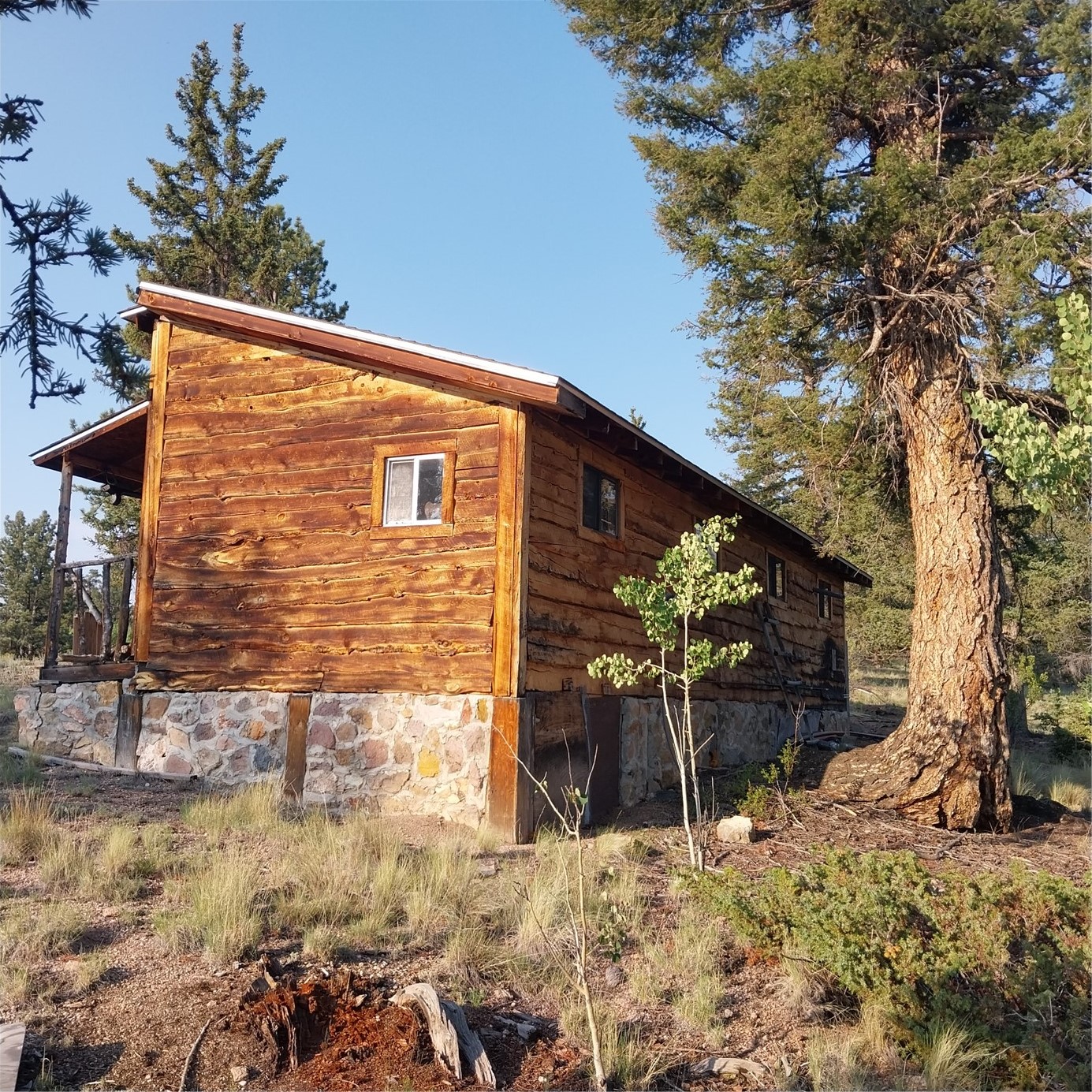 1167 Latigo Loop Property Photo 8