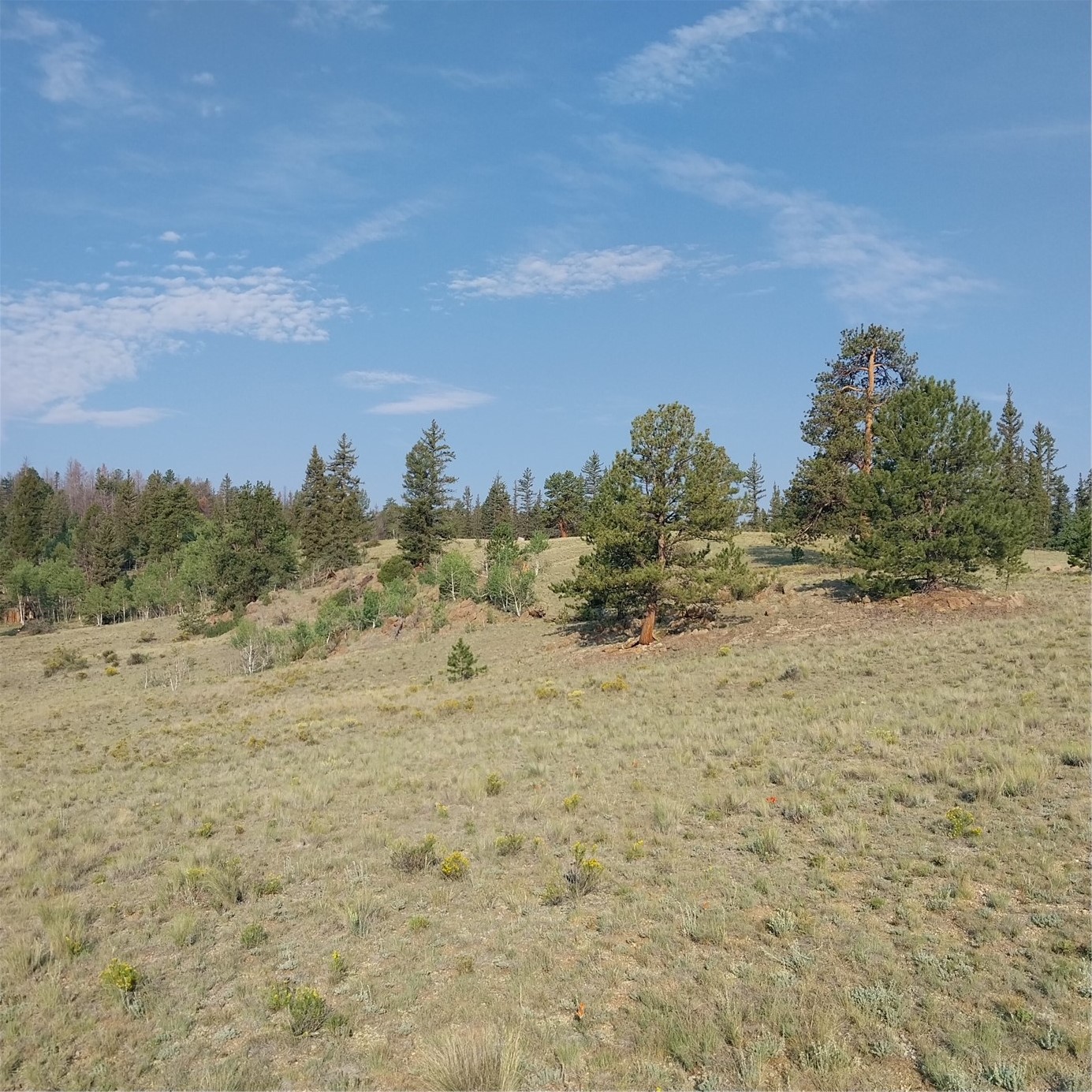 1167 Latigo Loop Property Photo 9