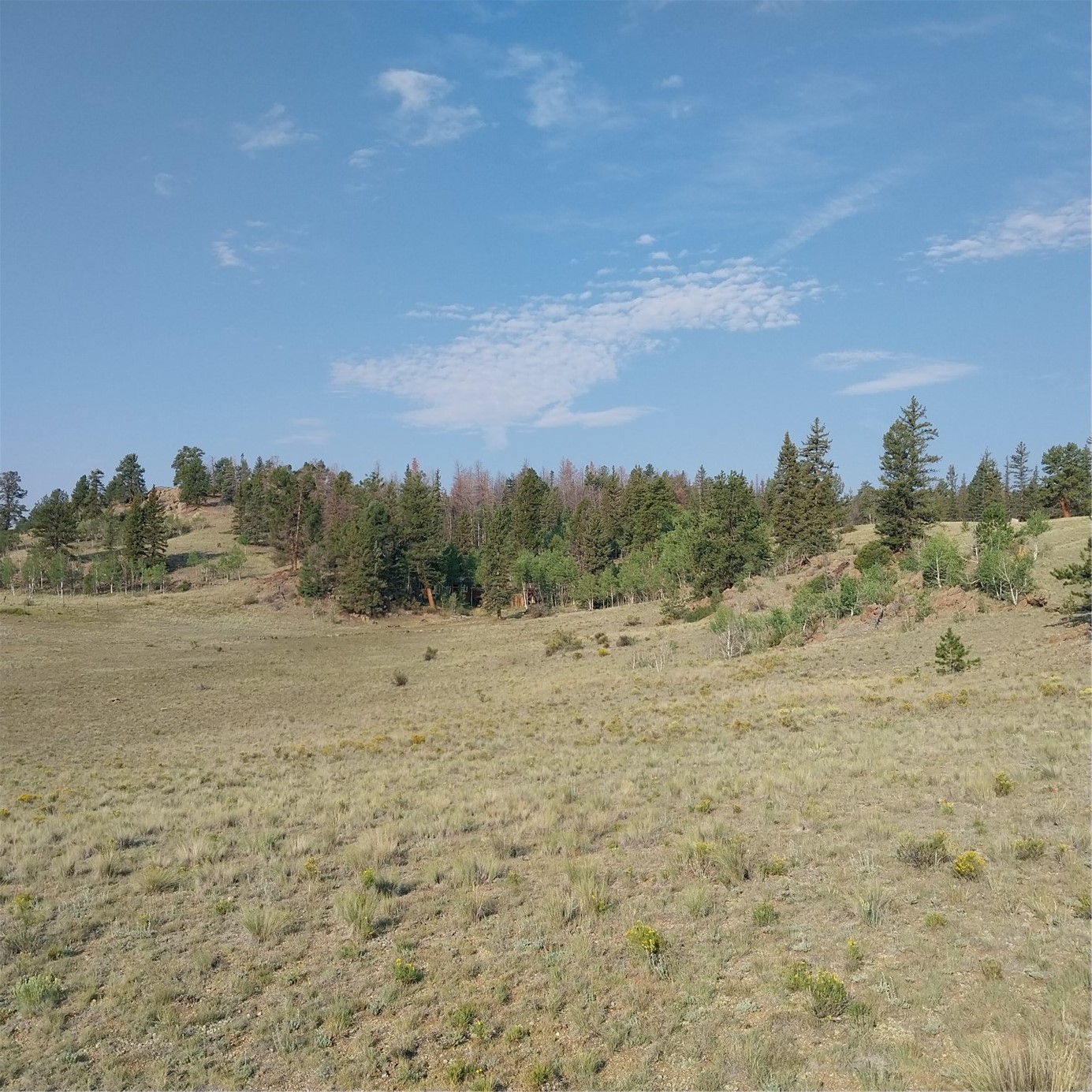 1167 Latigo Loop Property Photo 16