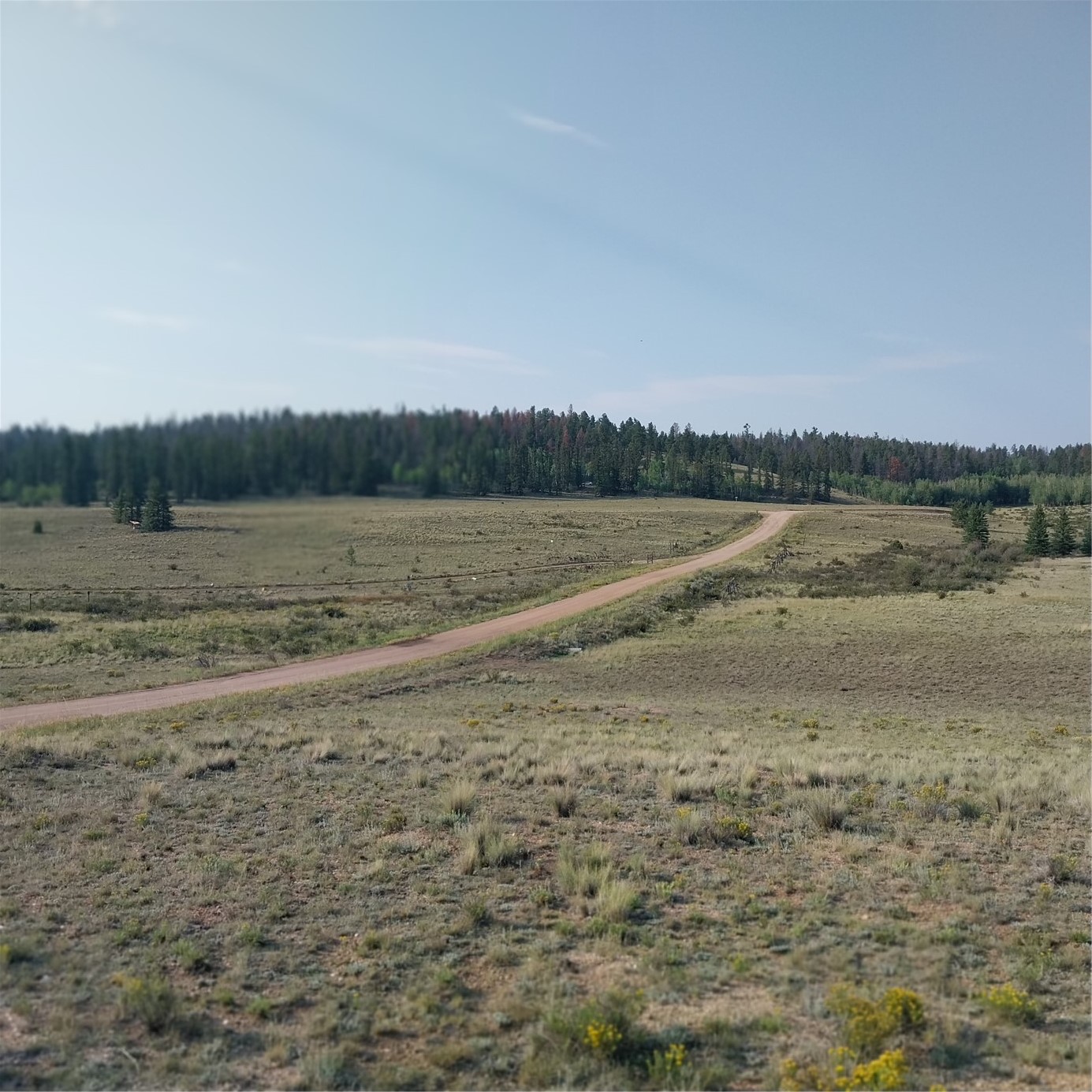 1167 Latigo Loop Property Photo 17