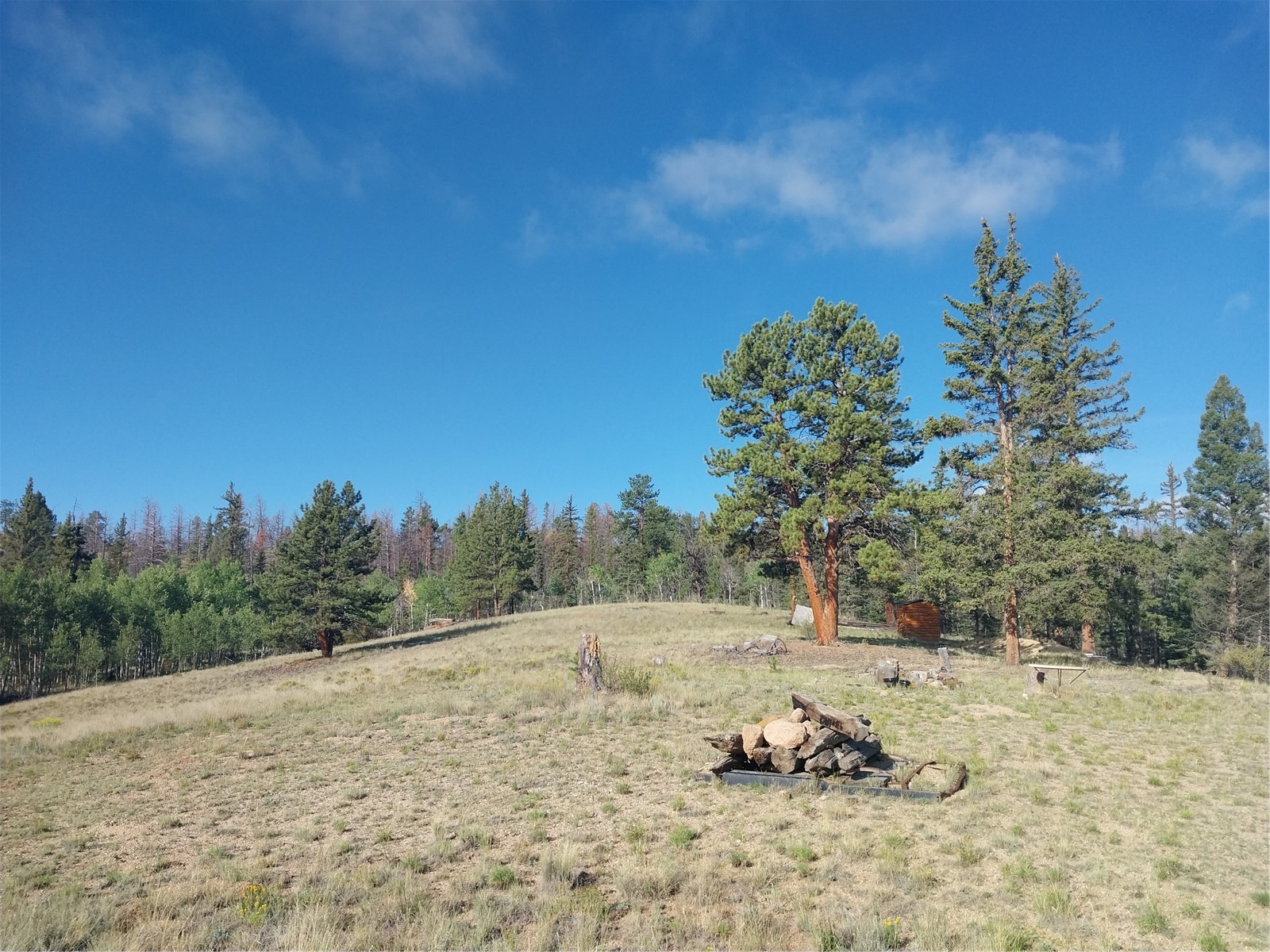 1167 Latigo Loop Property Photo 18