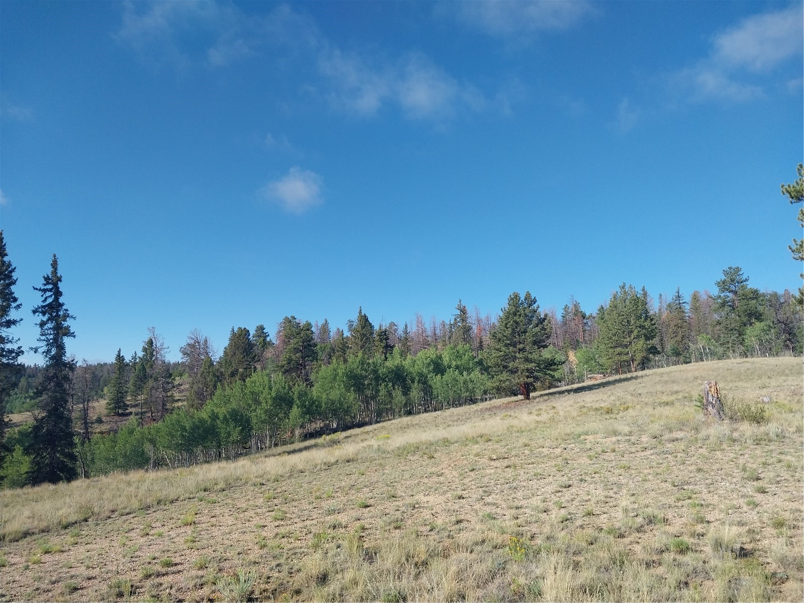 1167 Latigo Loop Property Photo 19