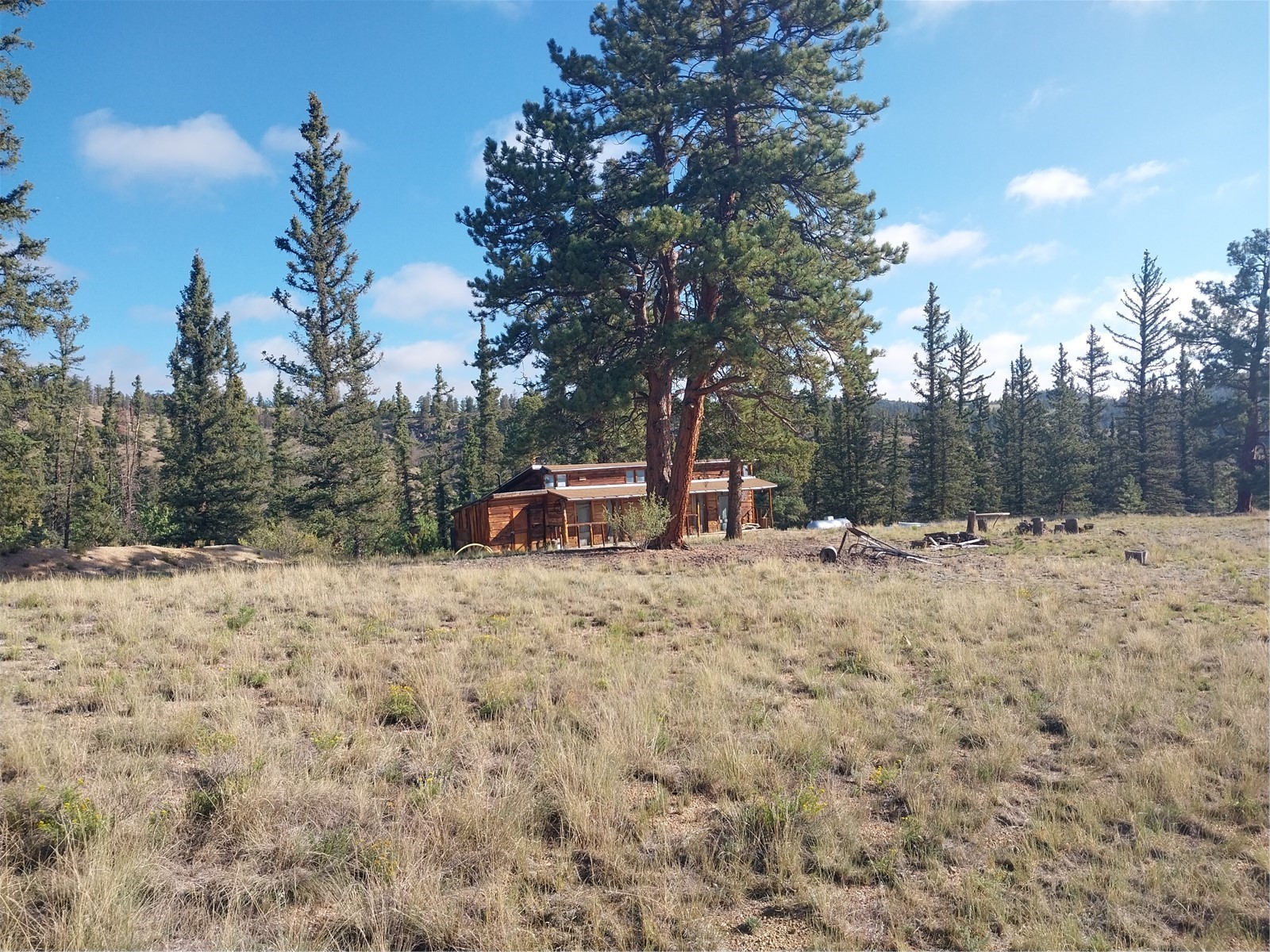 1167 Latigo Loop Property Photo 24