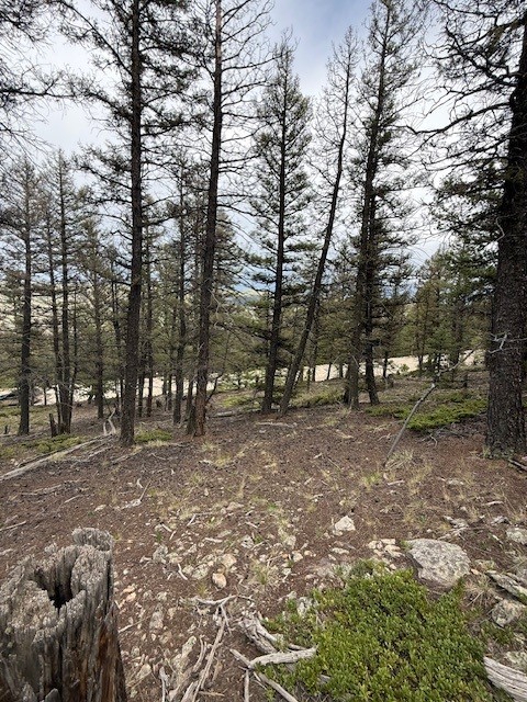 2689 Redhill Road Property Photo 2