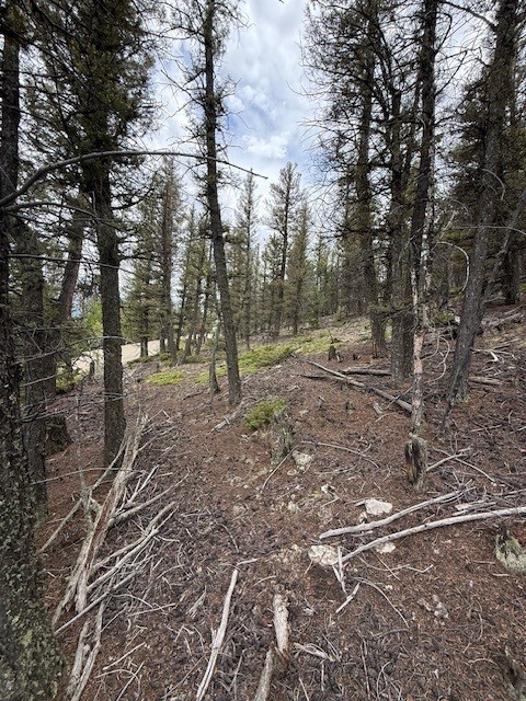 2689 Redhill Road Property Photo 11