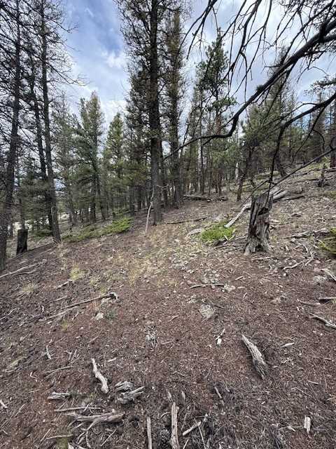 2689 Redhill Road Property Photo 16
