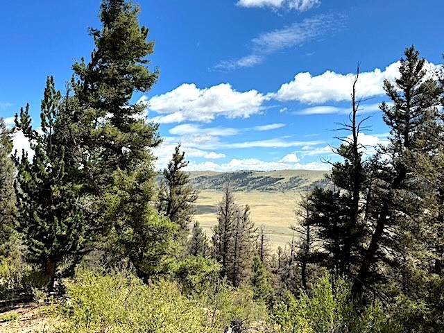 2022 Middle Fork Property Photo 1