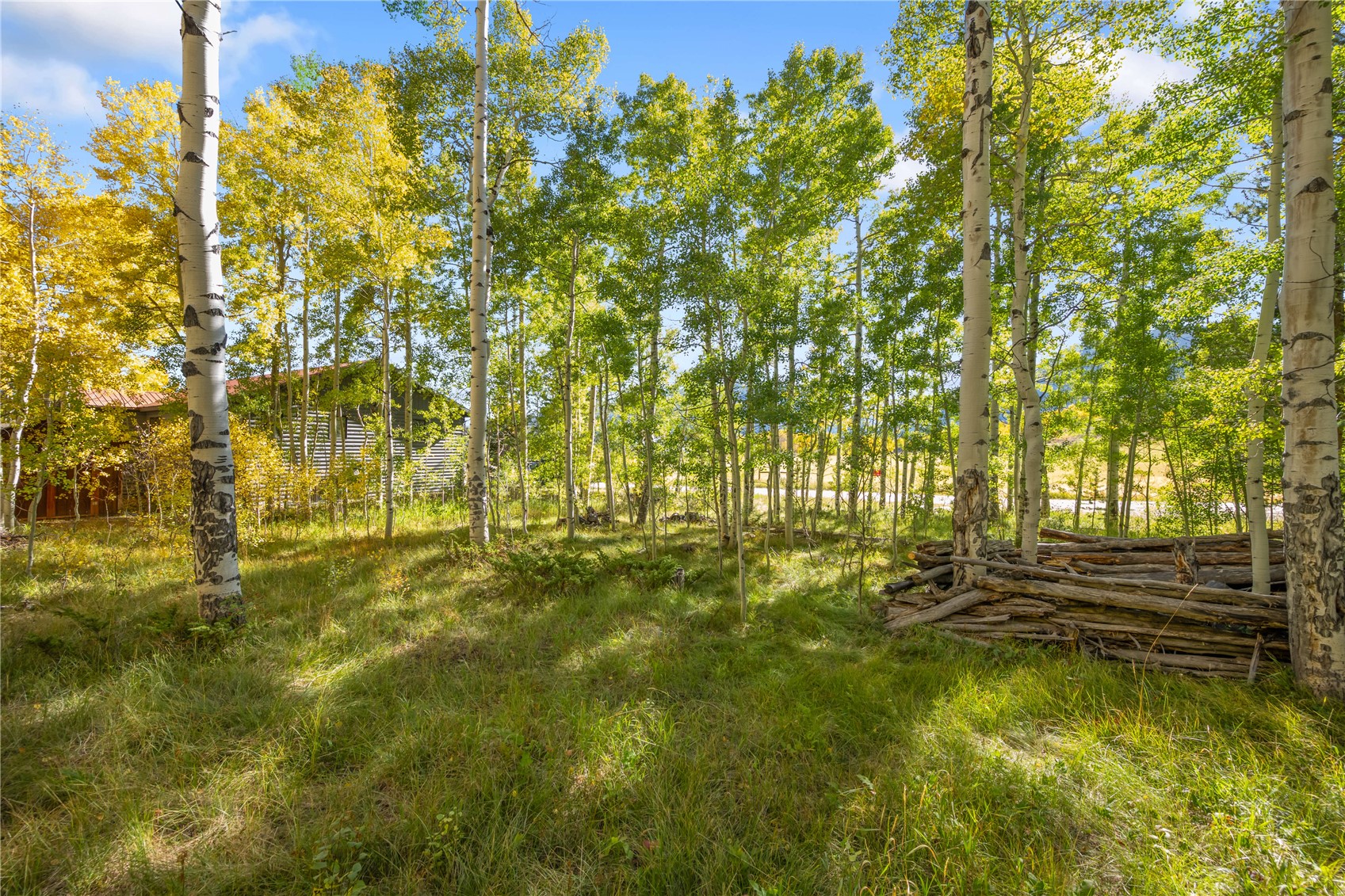 0045 Cr 1232 Property Photo 8