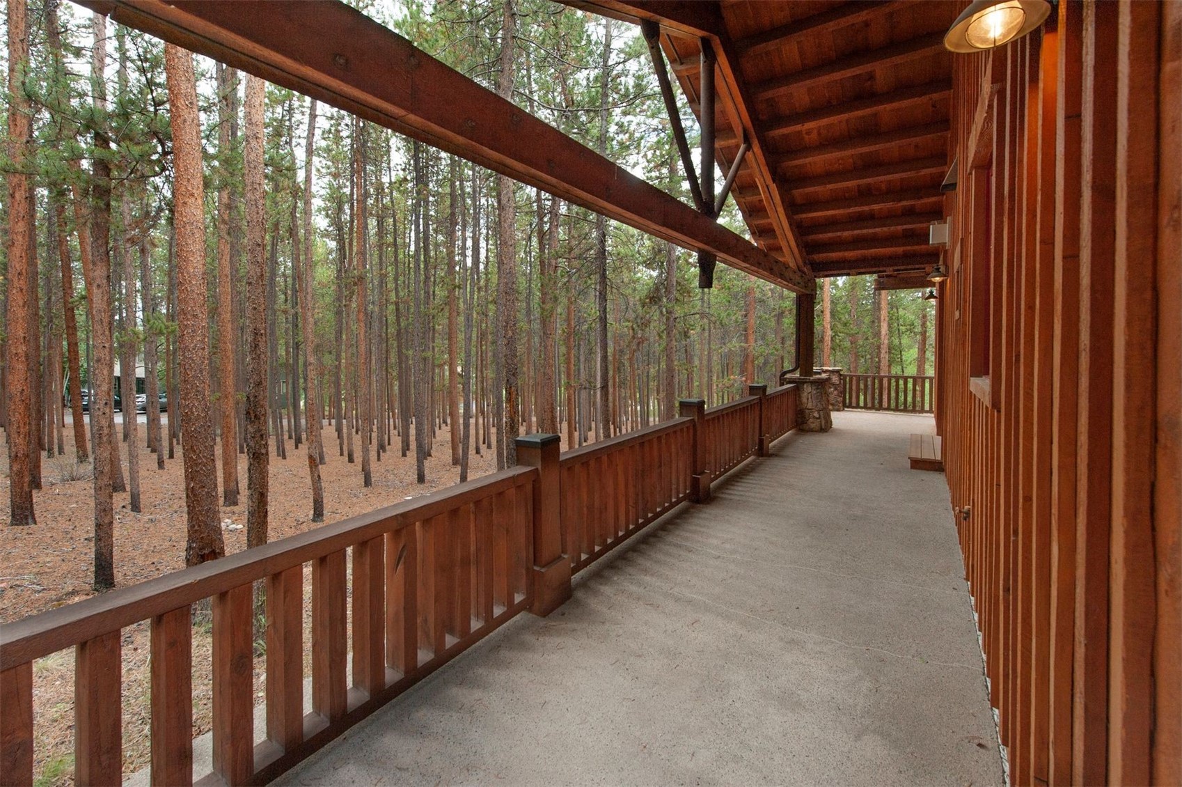 49 Edelweiss Circle Property Photo 23
