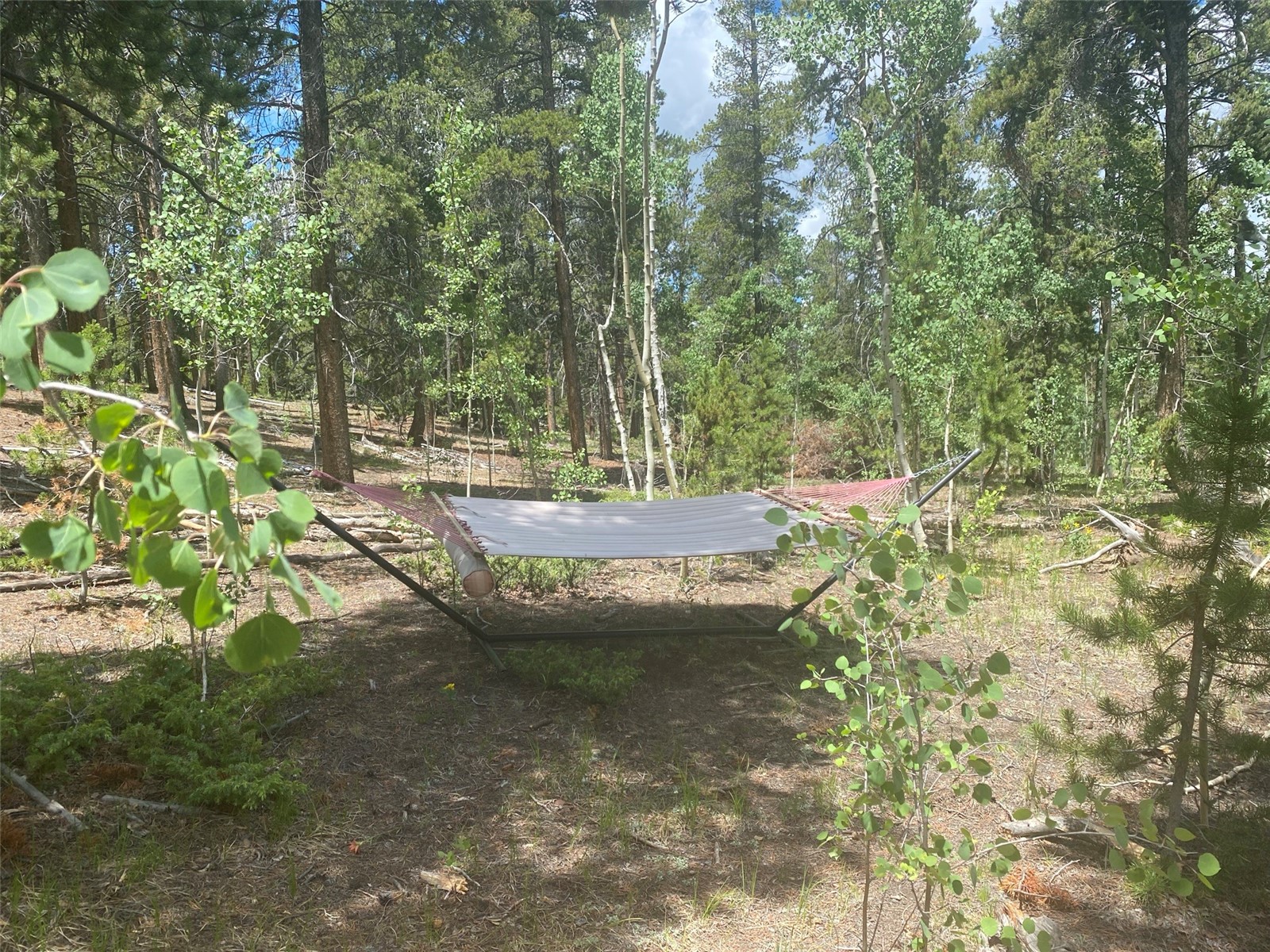 240 Sunshine Loop Property Photo 36
