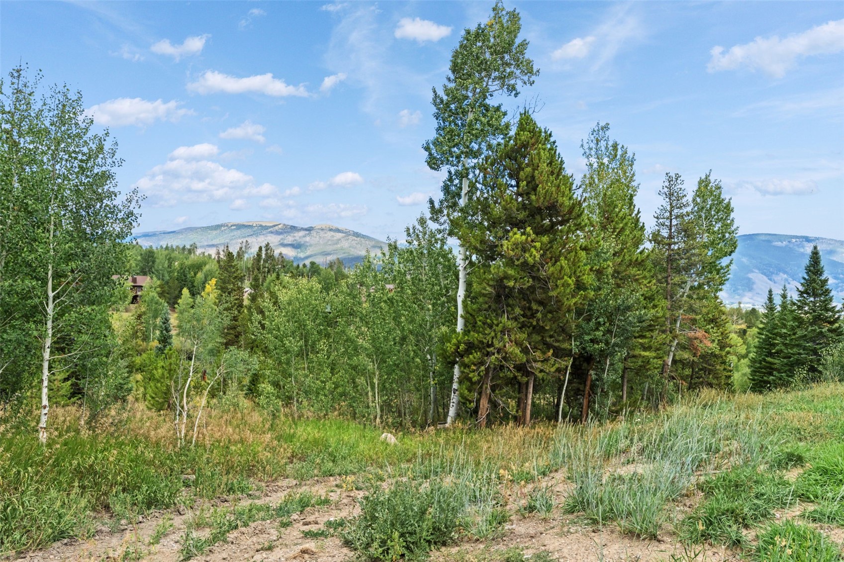 6714 Ryan Gulch Road 6714 Property Photo 13