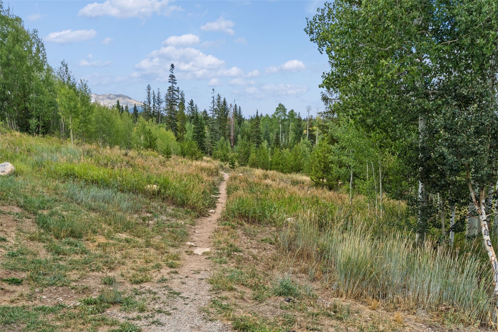 6714 Ryan Gulch Road 6714 Property Photo 14