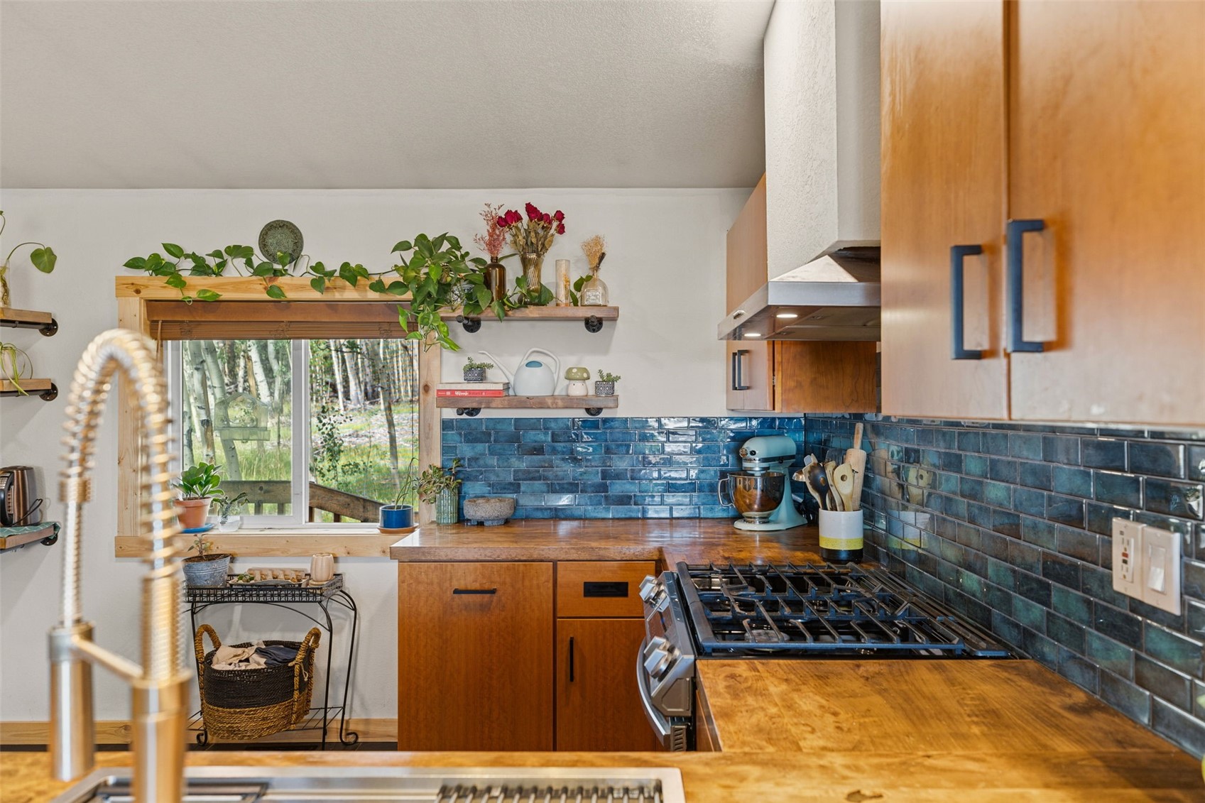 139 Bluestem Court Property Photo 21