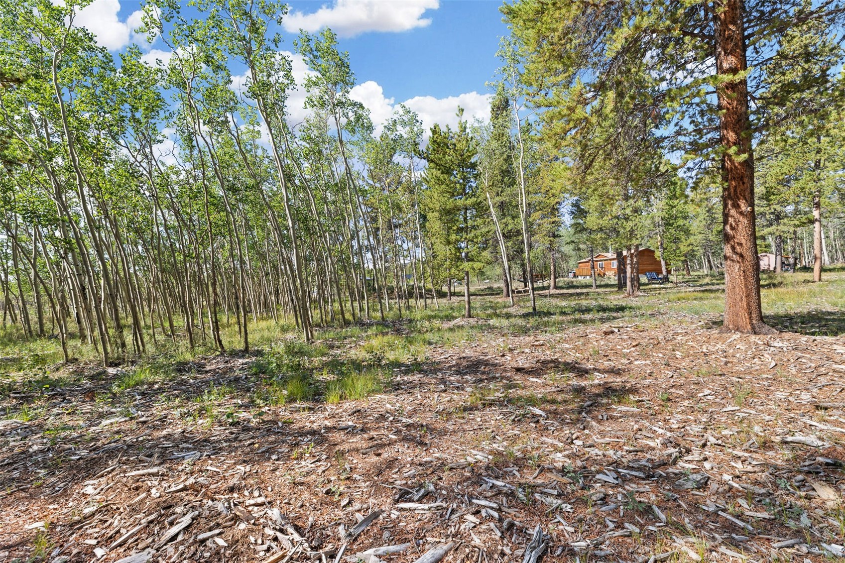 139 Bluestem Court Property Photo 45