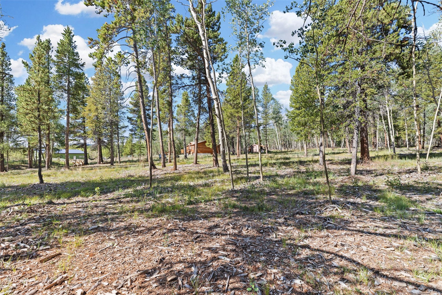 139 Bluestem Court Property Photo 46
