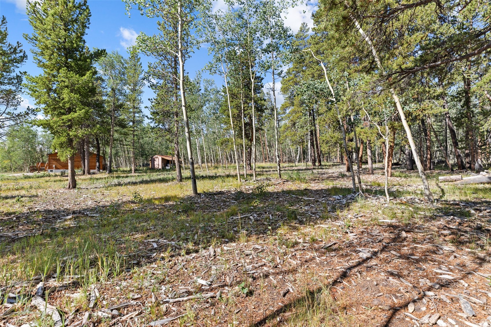 139 Bluestem Court Property Photo 47