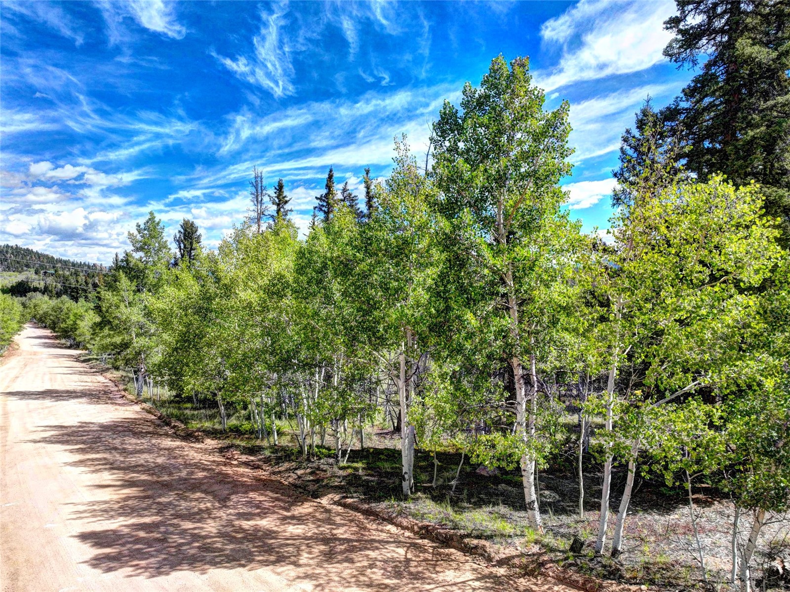 820 Overland Circle Property Photo 4