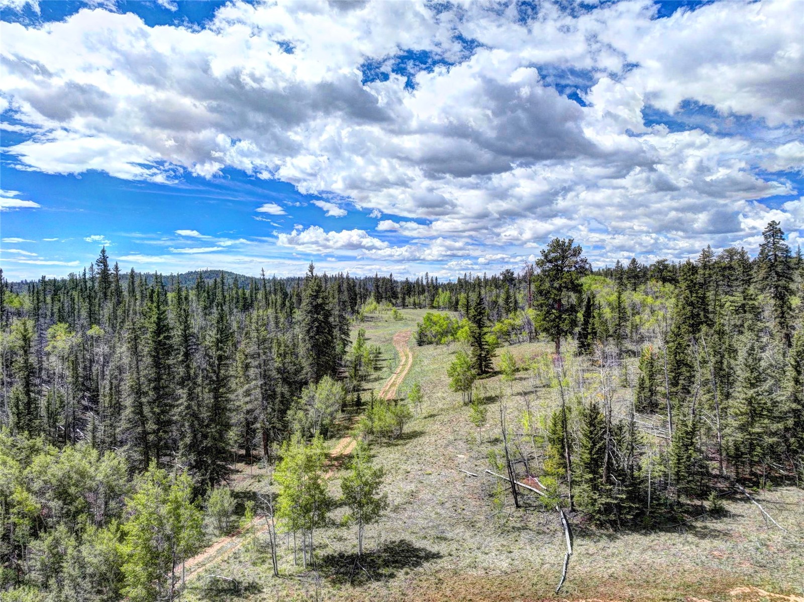 860 Shoshone Drive Property Photo 11