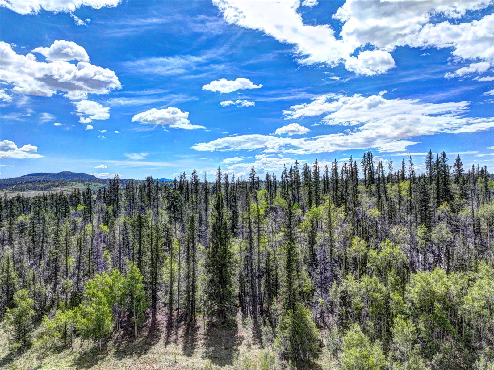 860 Shoshone Drive Property Photo 12
