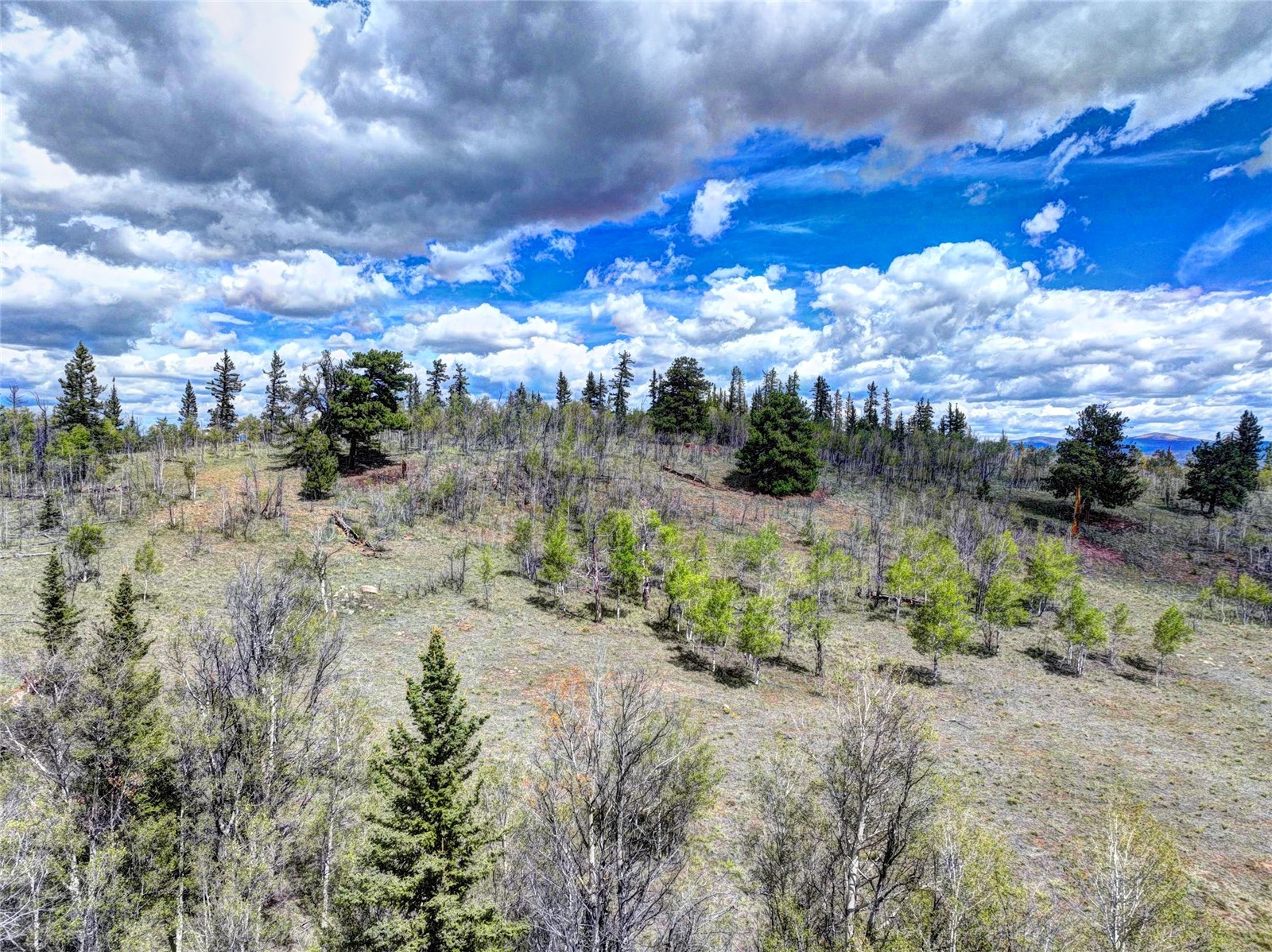 860 Shoshone Drive Property Photo 15