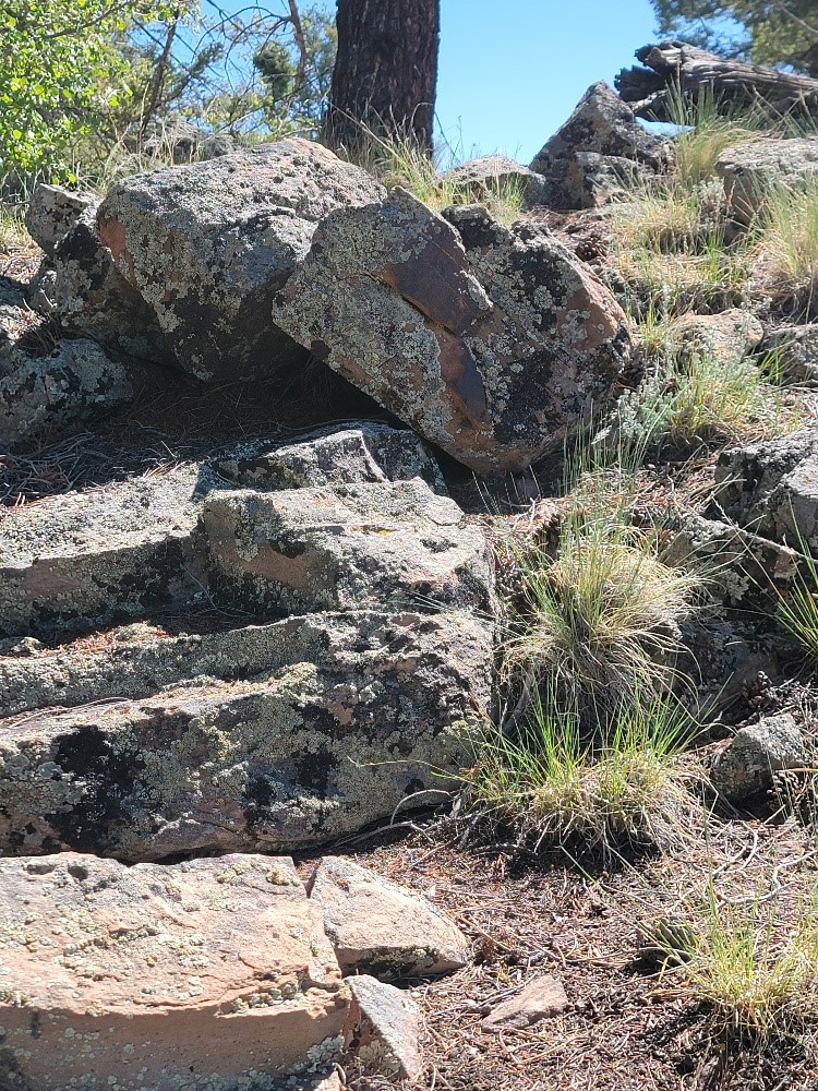 2471 Middle Fork Vista Property Photo 6