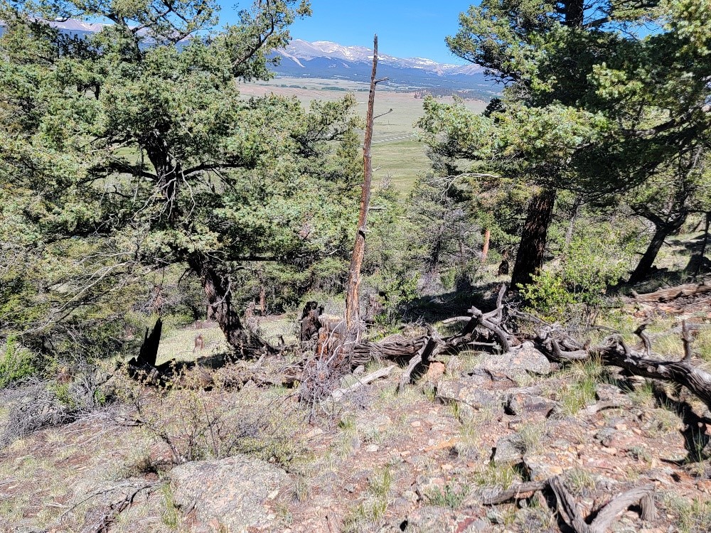 2471 Middle Fork Vista Property Photo 7
