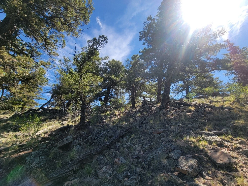 2471 Middle Fork Vista Property Photo 8
