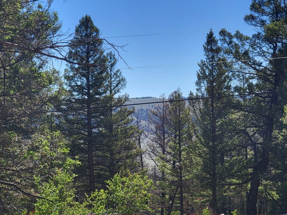 2471 Middle Fork Vista Property Photo 11