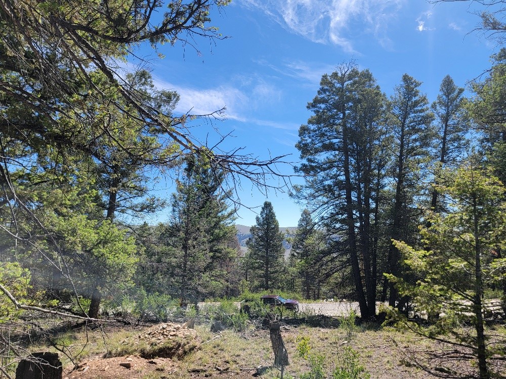 2471 Middle Fork Vista Property Photo 15