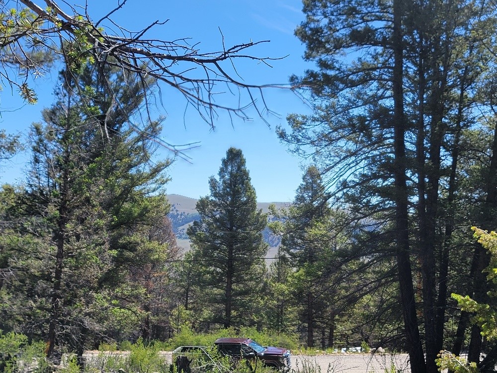 2471 Middle Fork Vista Property Photo 16