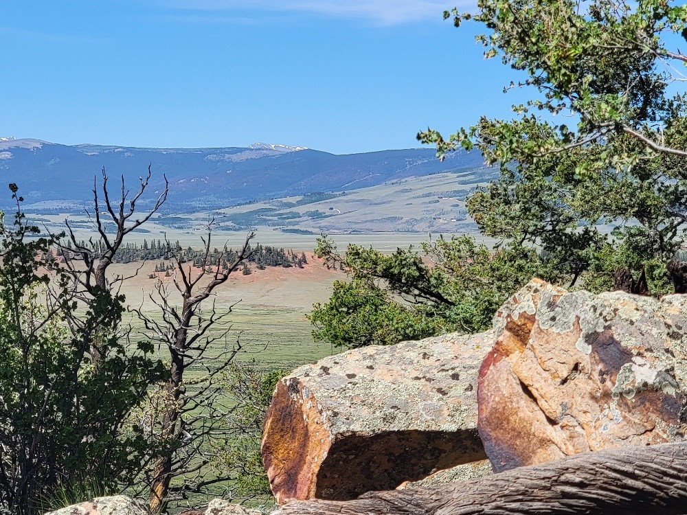 2471 Middle Fork Vista Property Photo 17