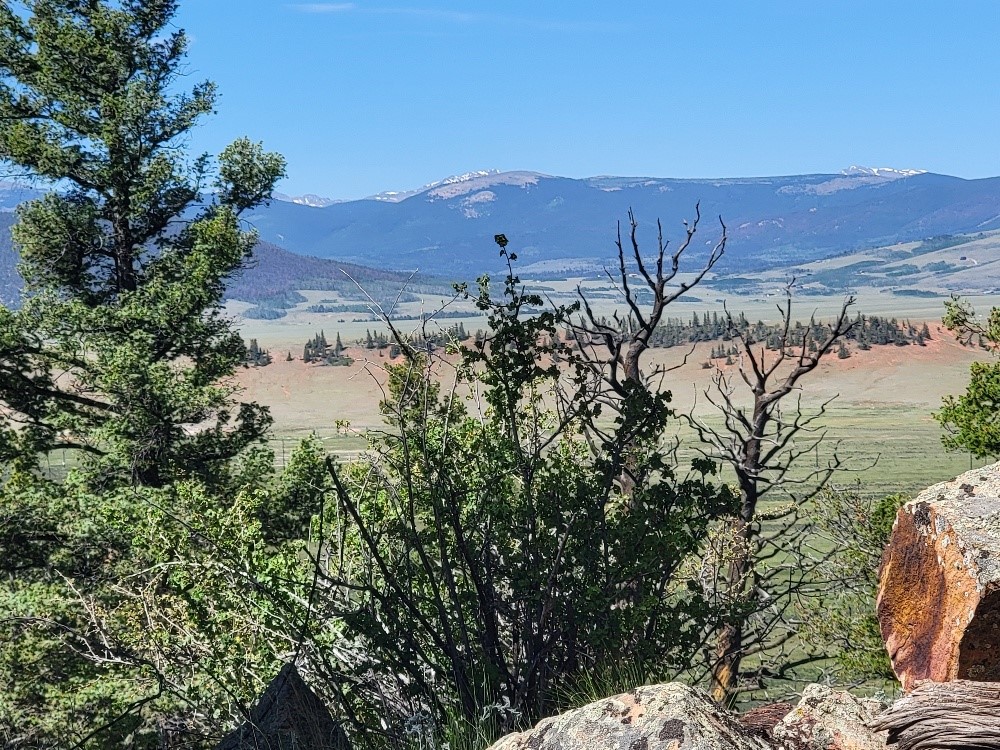 2471 Middle Fork Vista Property Photo 18