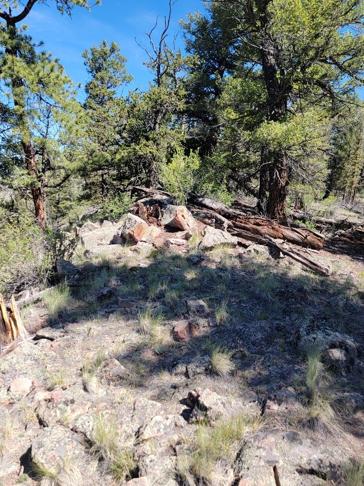 2471 Middle Fork Vista Property Photo 19