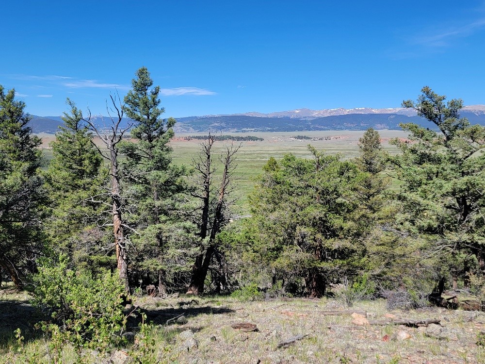 2471 Middle Fork Vista Property Photo 21