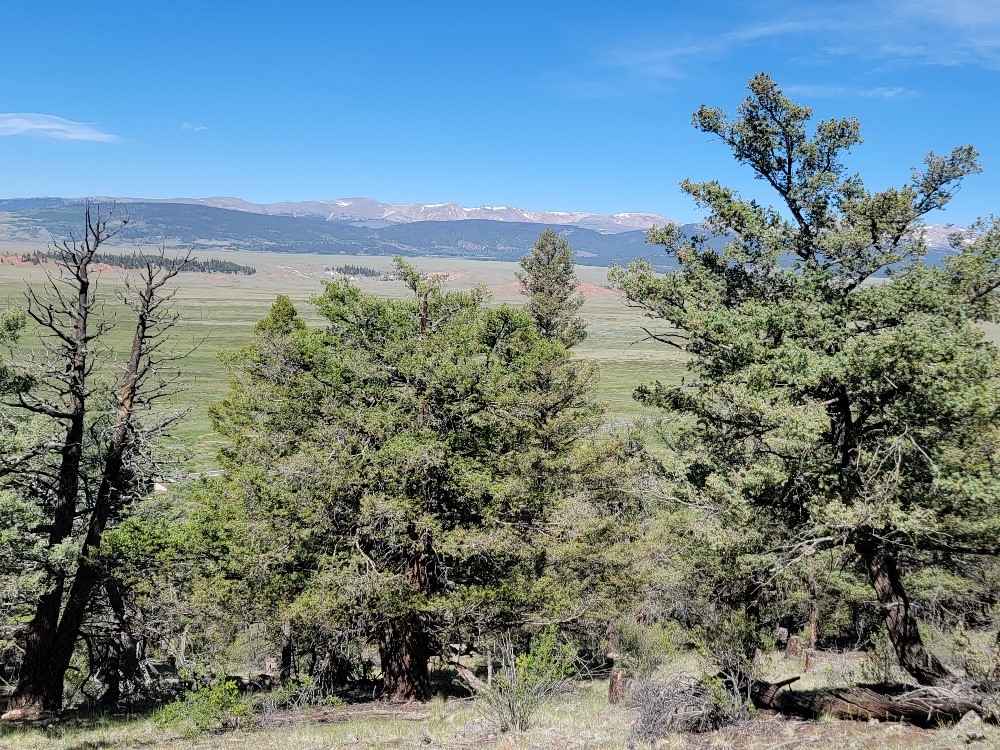 2471 Middle Fork Vista Property Photo 22