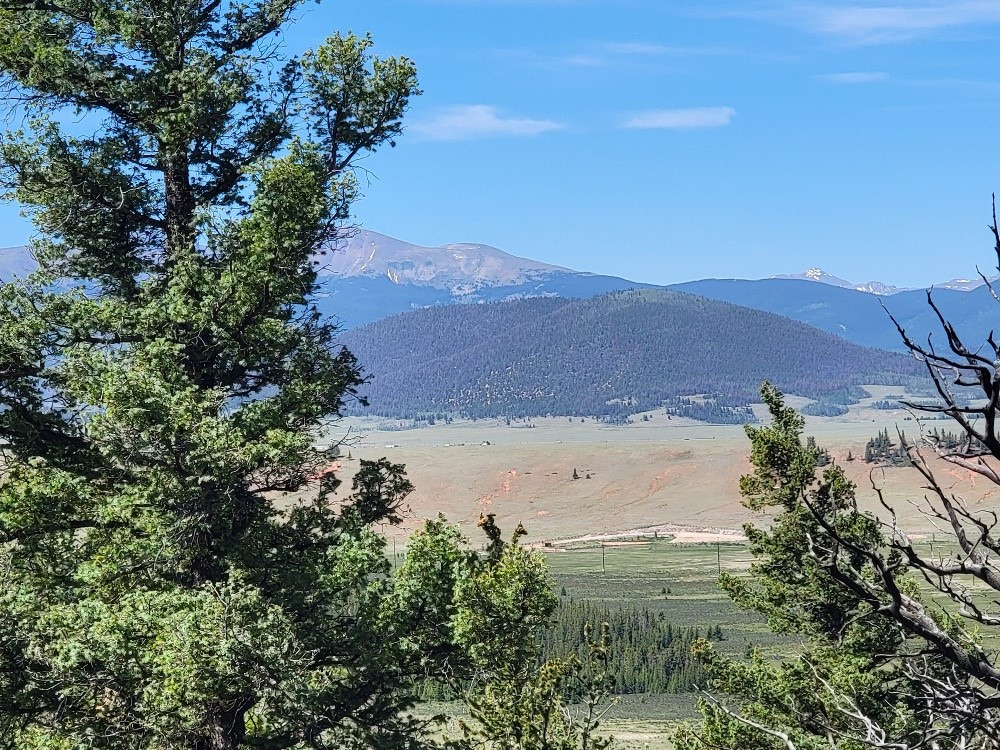 2471 Middle Fork Vista Property Photo 23