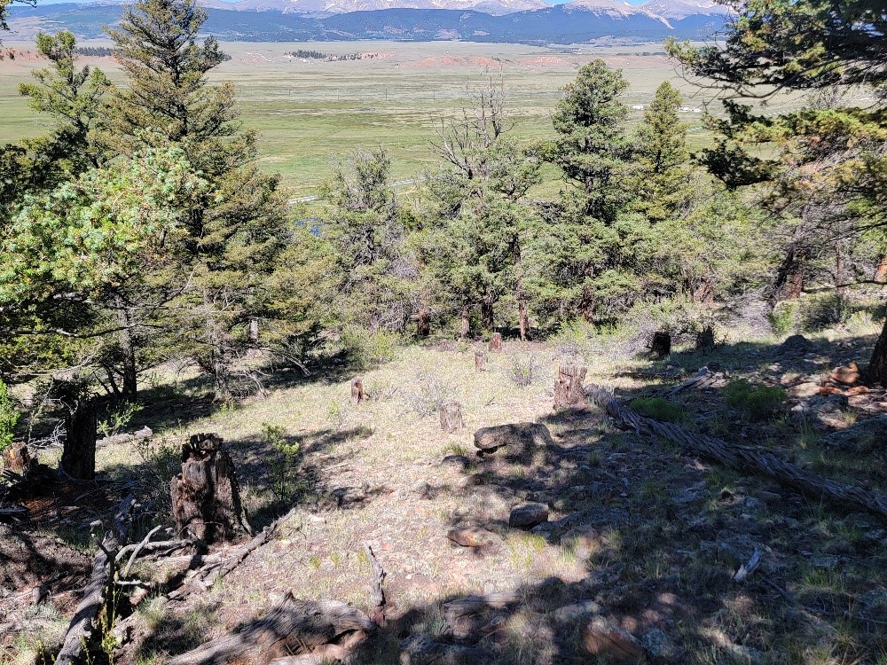 2471 Middle Fork Vista Property Photo 24
