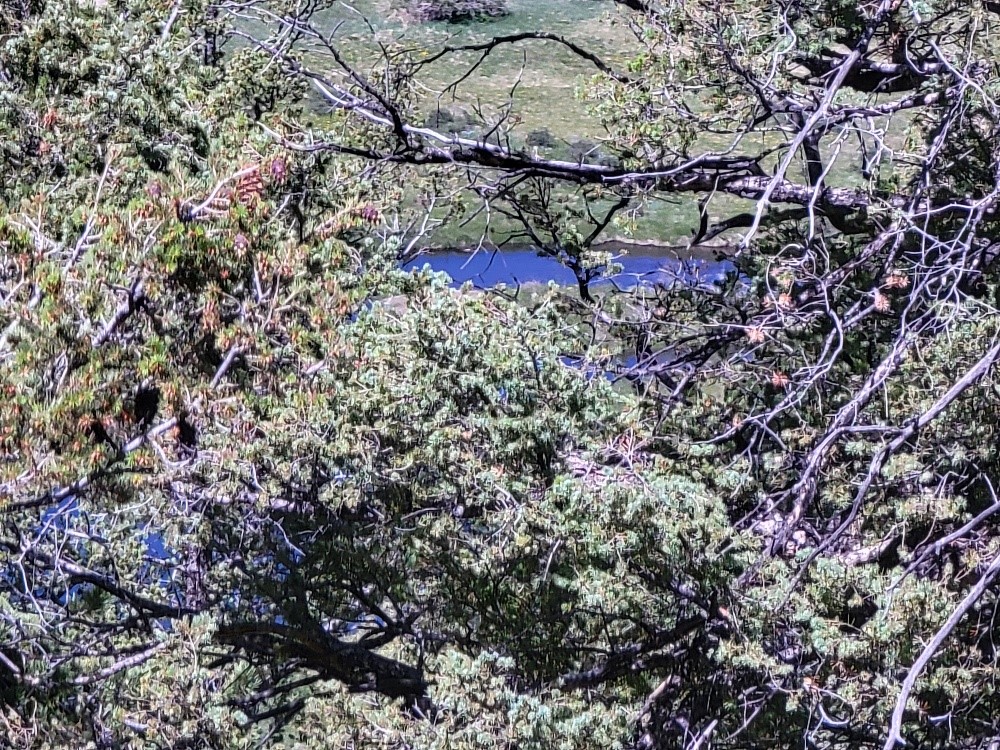 2471 Middle Fork Vista Property Photo 31