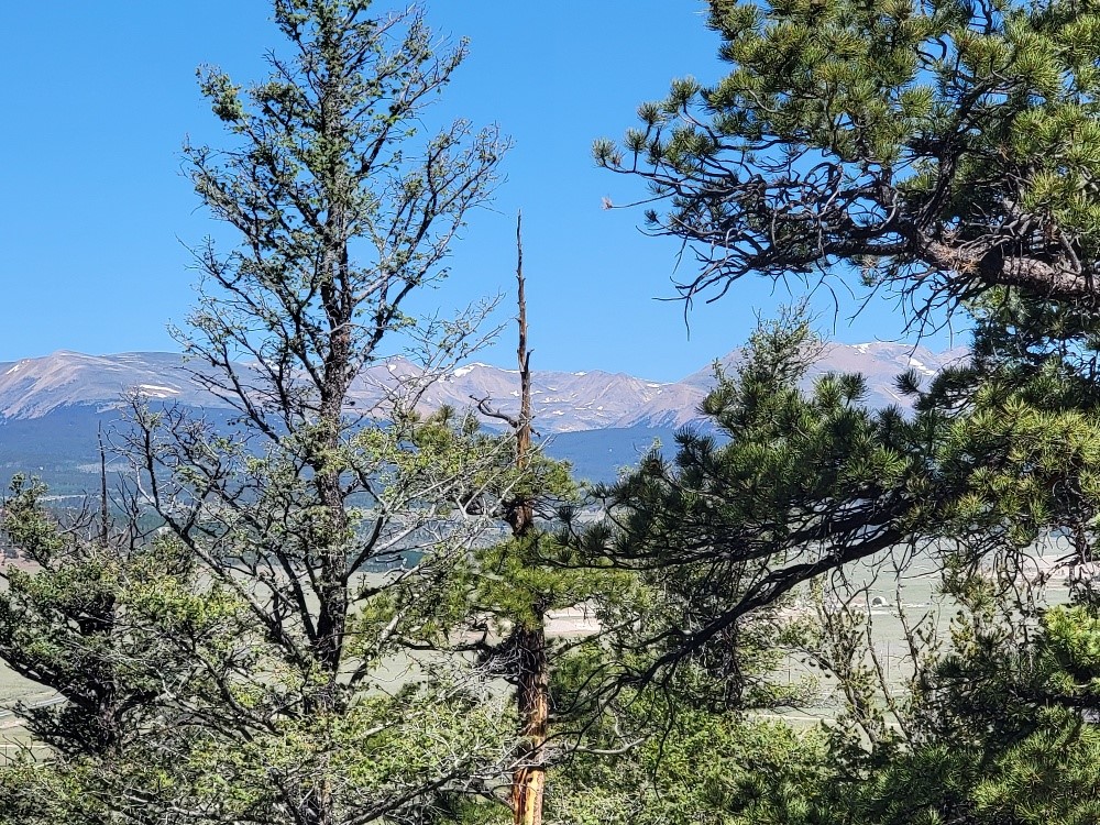2471 Middle Fork Vista Property Photo 35