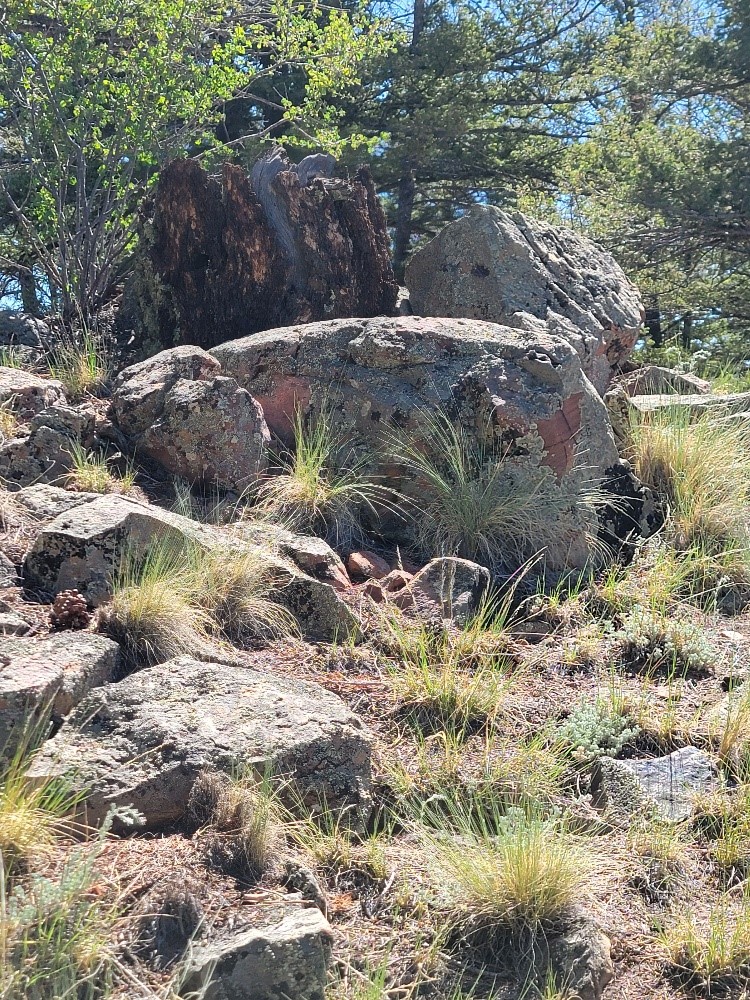 2471 Middle Fork Vista Property Photo 36