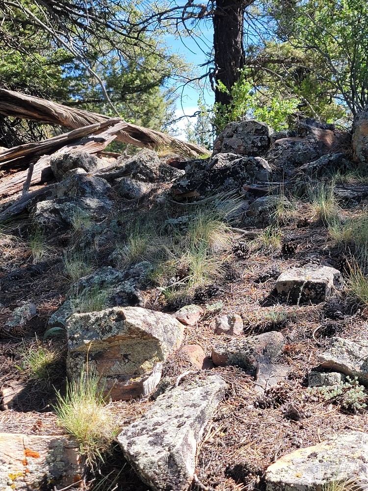 2471 Middle Fork Vista Property Photo 37