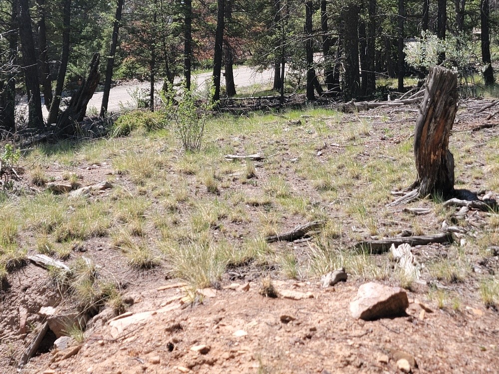 2471 Middle Fork Vista Property Photo 38