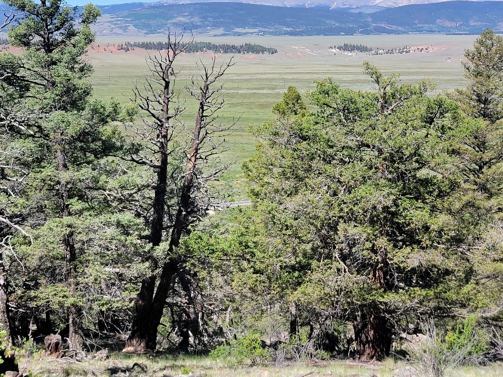 2471 Middle Fork Vista Property Photo 41